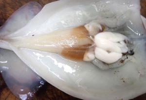 クリックで拡大表示