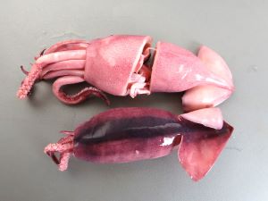 クリックで拡大表示 酢いか