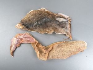 クリックで拡大表示 鯣の皮