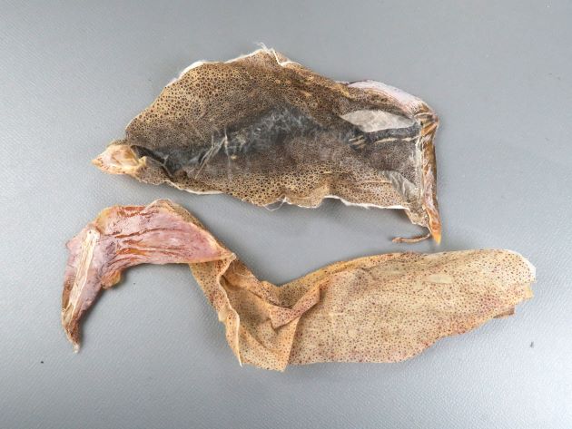鯣の皮
