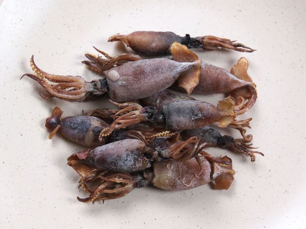 稚イカの煮干し