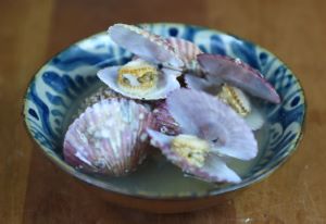 クリックで拡大表示