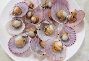 クリックで拡大表示