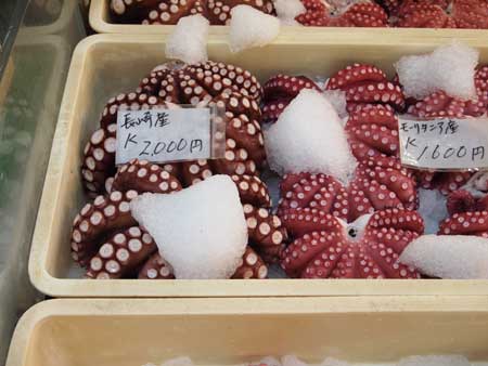 市場でのマダコ