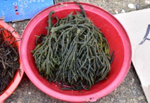 韓国、ナガミル