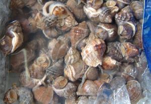 クリックで拡大表示