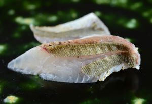 クリックで拡大表示