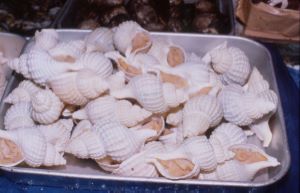 クリックで拡大表示