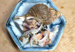 クリックで拡大表示