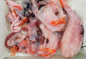 クリックで拡大表示