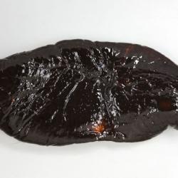 クロナマコ その他生物 市場魚貝類図鑑 クロナマコ その他生物 市場魚貝類図鑑