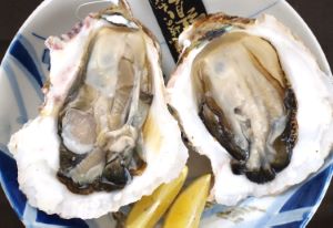 クリックで拡大表示 イワガキのカキフライ