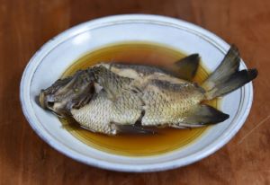 シマスズメダイ 魚類 市場魚貝類図鑑