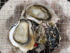 クリックで拡大表示 焼きガキ