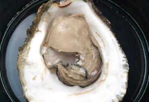 クリックで拡大表示