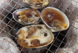 クリックで拡大表示