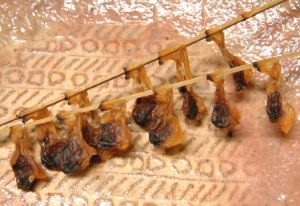 クリックで拡大表示