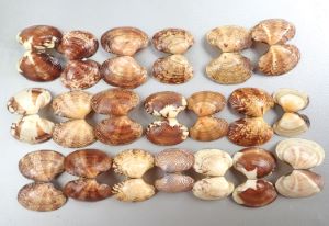 クリックで拡大表示