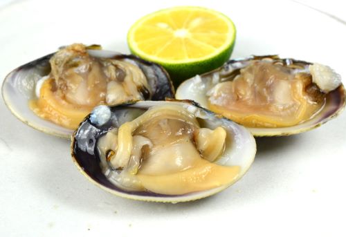 クリックで拡大表示