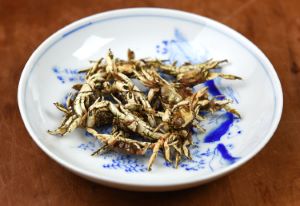 クリックで拡大表示