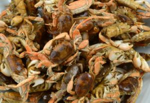 クリックで拡大表示