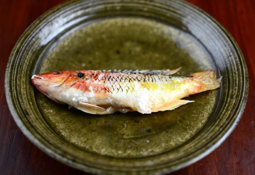 タヌキベラ 魚類 市場魚貝類図鑑 タヌキベラ 魚類 市場魚貝類図鑑