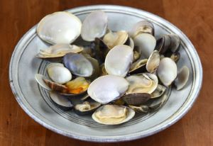 クリックで拡大表示