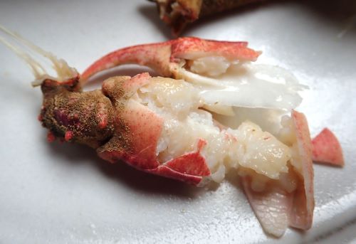 クリックで拡大表示