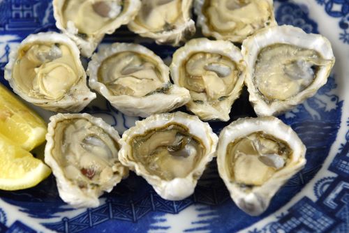 クリックで拡大表示