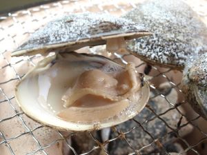 クリックで拡大表示 シナハマグリの焼きはまぐり