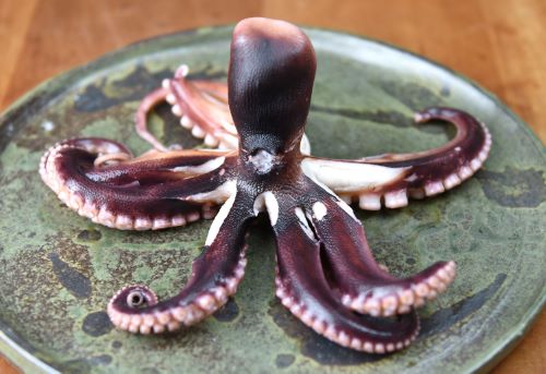 クリックで拡大表示