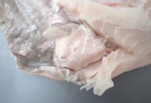 クリックで拡大表示
