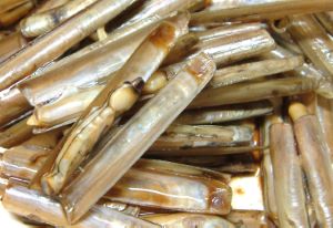 クリックで拡大表示