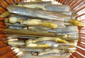 クリックで拡大表示