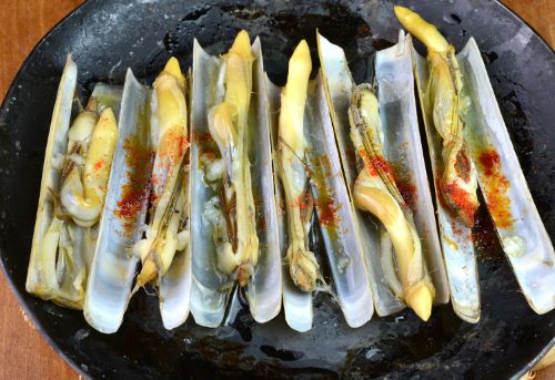 クリックで拡大表示