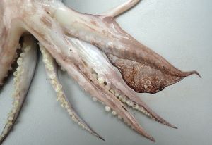 クリックで拡大表示