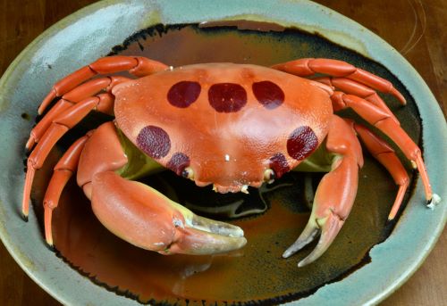 クリックで拡大表示