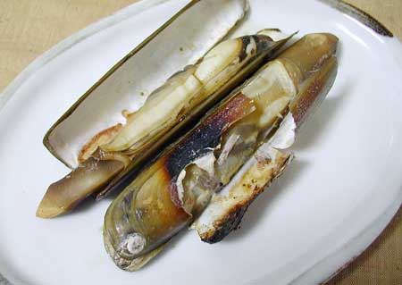 クリックで拡大表示 焼きオオマテガイ