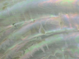 クリックで拡大表示