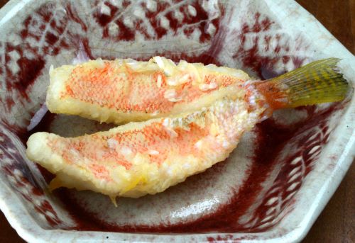 ヤマユリトラギス 魚類 市場魚貝類図鑑