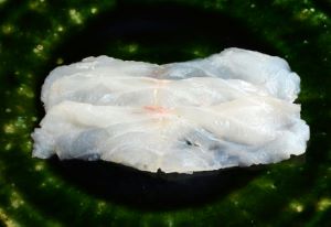 クリックで拡大表示