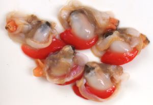 クリックで拡大表示