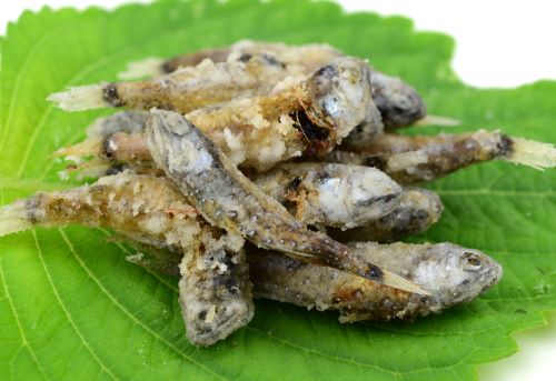 クリックで拡大表示