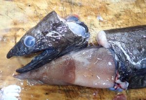 クリックで拡大表示