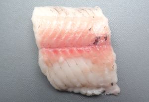 クリックで拡大表示