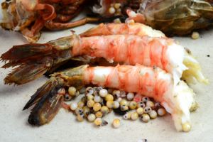 クリックで拡大表示