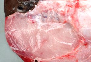 クリックで拡大表示