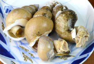 クリックで拡大表示