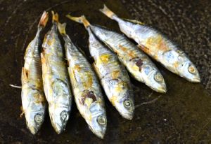 クリックで拡大表示