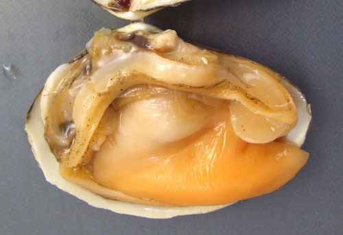 クリックで拡大表示